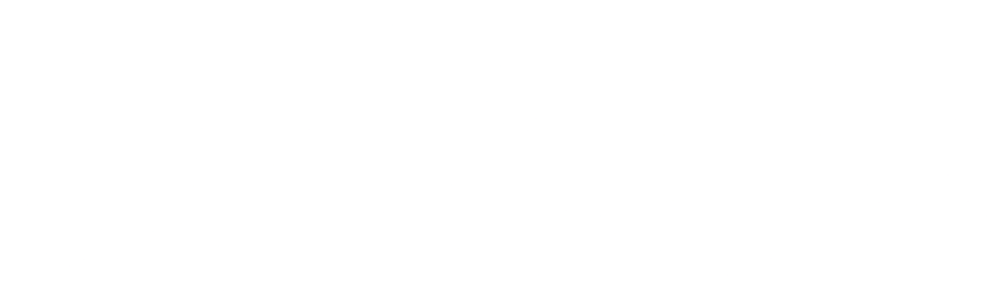 ELVZ.ai